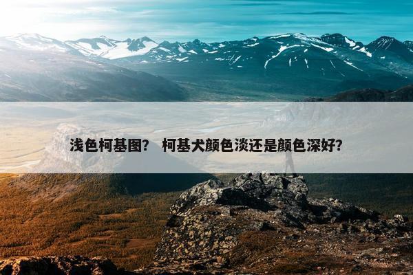 浅色柯基图？ 柯基犬颜色淡还是颜色深好？