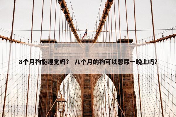 8个月狗能睡觉吗？ 八个月的狗可以憋尿一晚上吗？