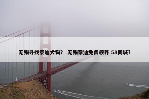 无锡寻找泰迪犬狗？ 无锡泰迪免费领养 58同城？