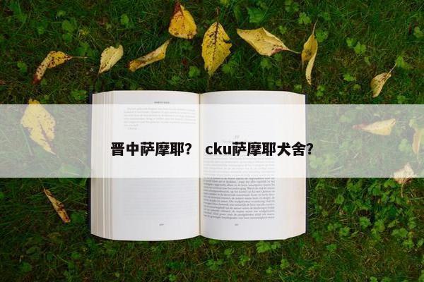 晋中萨摩耶？ cku萨摩耶犬舍？