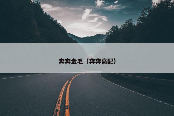 奔奔金毛（奔奔高配）
