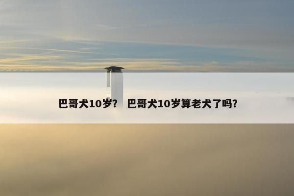 巴哥犬10岁？ 巴哥犬10岁算老犬了吗？
