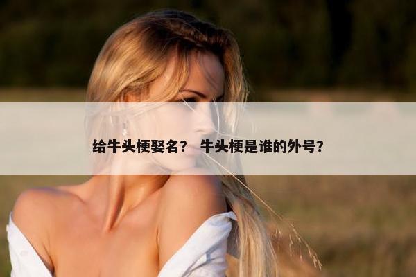 给牛头梗娶名？ 牛头梗是谁的外号？
