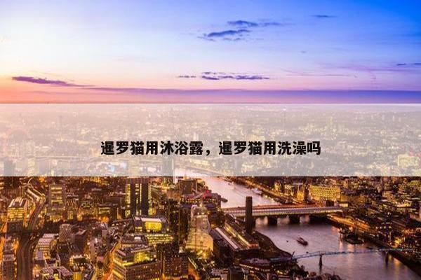 暹罗猫用沐浴露，暹罗猫用洗澡吗