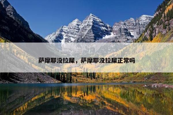 萨摩耶没拉屎，萨摩耶没拉屎正常吗