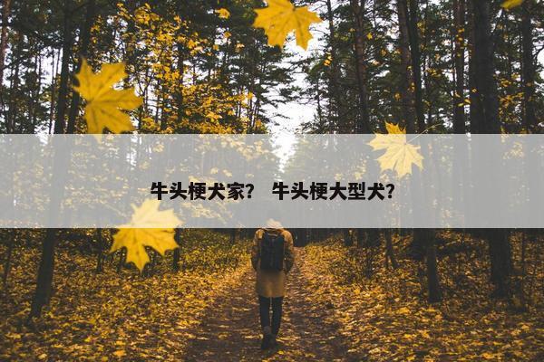 牛头梗犬家？ 牛头梗大型犬？