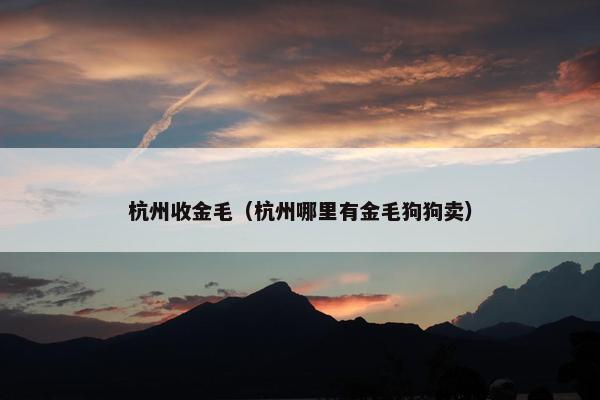 杭州收金毛（杭州哪里有金毛狗狗卖）