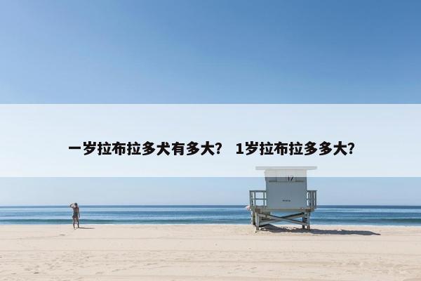 一岁拉布拉多犬有多大？ 1岁拉布拉多多大？