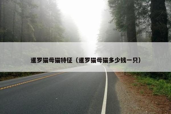 暹罗猫母猫特征（暹罗猫母猫多少钱一只）