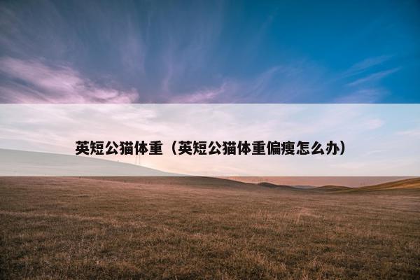 英短公猫体重（英短公猫体重偏瘦怎么办）