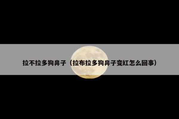 拉不拉多狗鼻子（拉布拉多狗鼻子变红怎么回事）