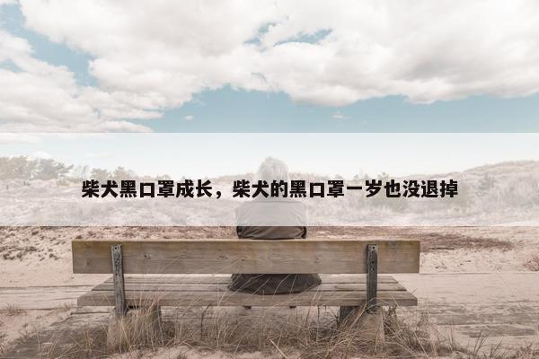 柴犬黑口罩成长，柴犬的黑口罩一岁也没退掉