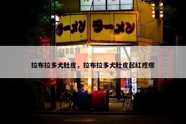 拉布拉多犬肚皮，拉布拉多犬肚皮起红疙瘩