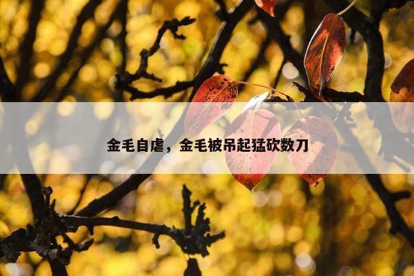 金毛自虐，金毛被吊起猛砍数刀