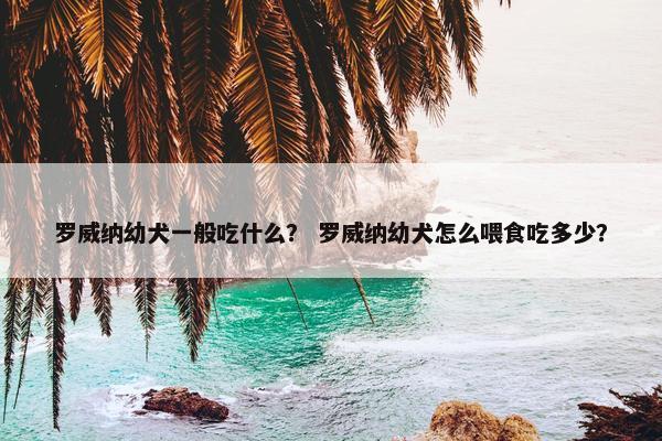 罗威纳幼犬一般吃什么？ 罗威纳幼犬怎么喂食吃多少？