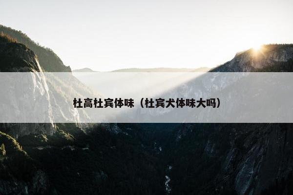 杜高杜宾体味（杜宾犬体味大吗）