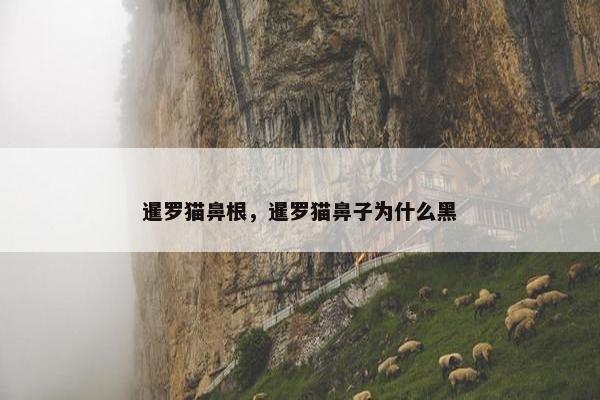 暹罗猫鼻根，暹罗猫鼻子为什么黑
