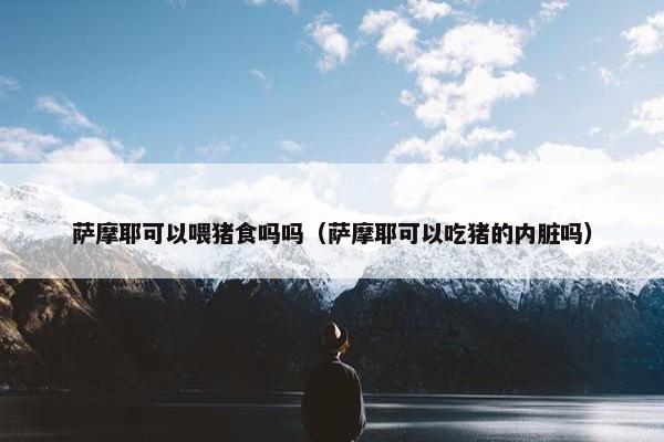 萨摩耶可以喂猪食吗吗（萨摩耶可以吃猪的内脏吗）
