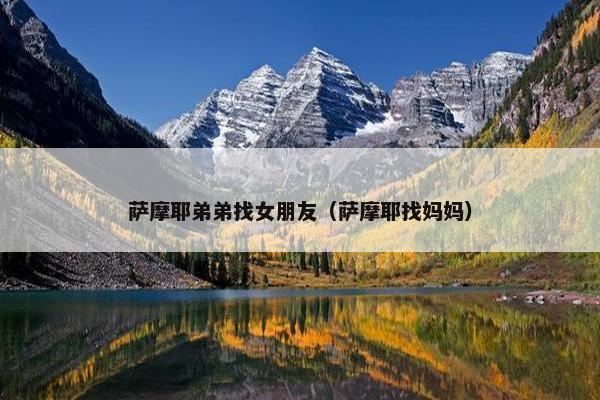 萨摩耶弟弟找女朋友（萨摩耶找妈妈）
