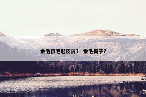 金毛梳毛起皮屑？ 金毛梳子？