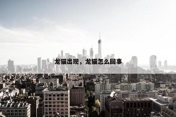 龙猫出现，龙猫怎么回事