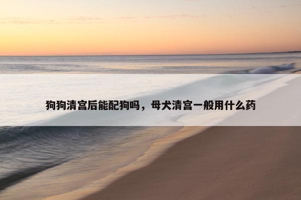 狗狗清宫后能配狗吗，母犬清宫一般用什么药
