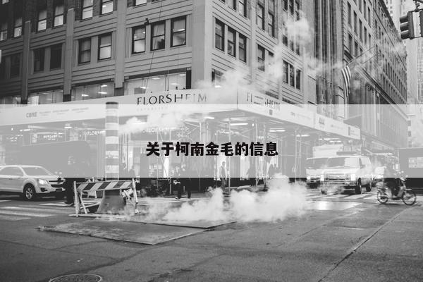 关于柯南金毛的信息