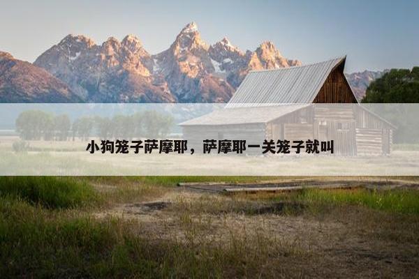 小狗笼子萨摩耶，萨摩耶一关笼子就叫