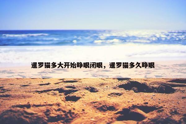 暹罗猫多大开始睁眼闭眼，暹罗猫多久睁眼
