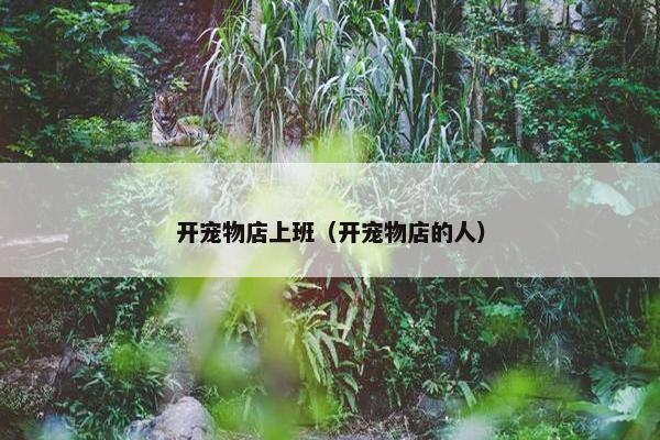 开宠物店上班（开宠物店的人）