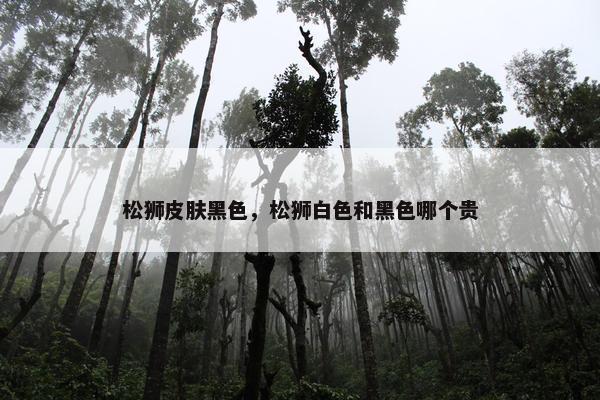 松狮皮肤黑色，松狮白色和黑色哪个贵