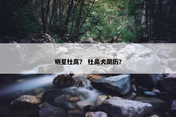 明星杜高？ 杜高犬简历？