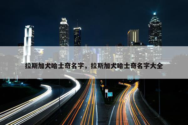 拉斯加犬哈士奇名字，拉斯加犬哈士奇名字大全