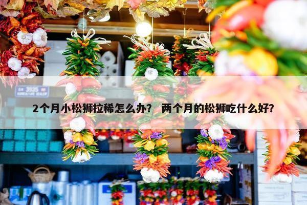 2个月小松狮拉稀怎么办？ 两个月的松狮吃什么好？