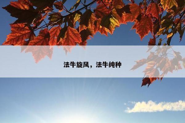 法牛旋风，法牛纯种