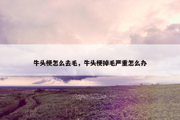 牛头梗怎么去毛，牛头梗掉毛严重怎么办