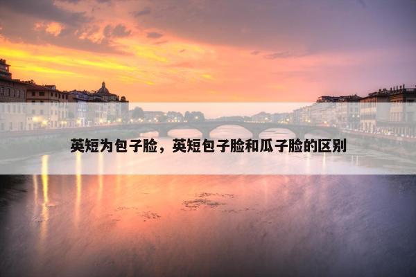英短为包子脸，英短包子脸和瓜子脸的区别