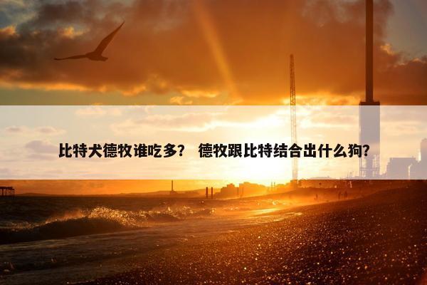 比特犬德牧谁吃多？ 德牧跟比特结合出什么狗？