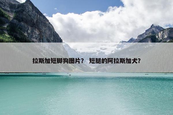 拉斯加短脚狗图片？ 短腿的阿拉斯加犬？