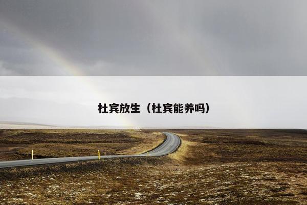 杜宾放生（杜宾能养吗）