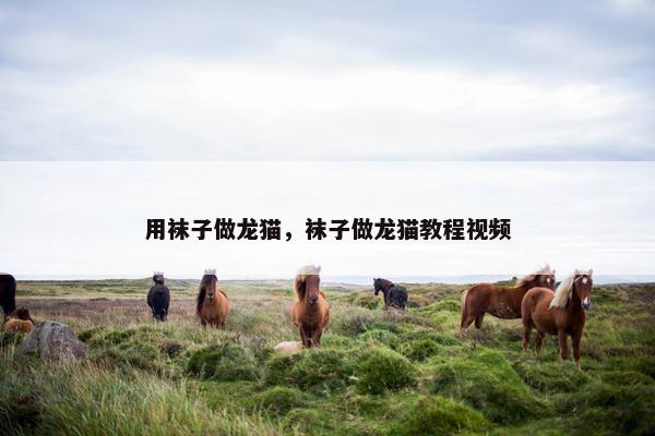 用袜子做龙猫，袜子做龙猫教程视频
