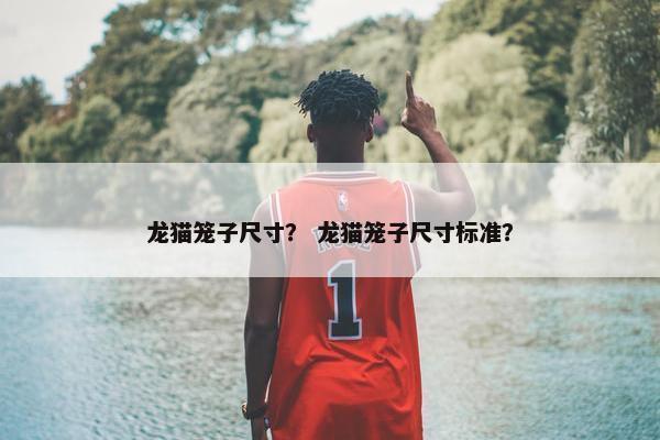 龙猫笼子尺寸？ 龙猫笼子尺寸标准？