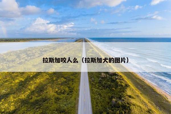 拉斯加咬人么（拉斯加犬的图片）