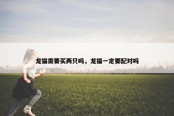 龙猫需要买两只吗，龙猫一定要配对吗