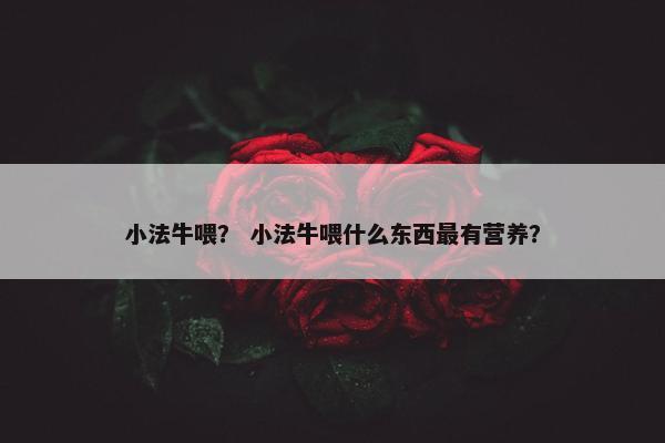 小法牛喂？ 小法牛喂什么东西最有营养？