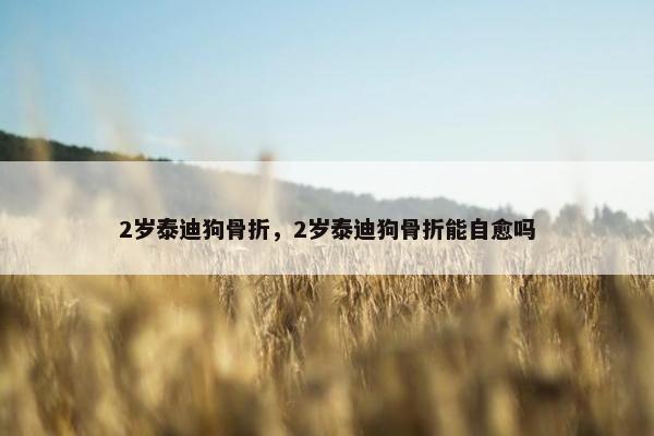 2岁泰迪狗骨折，2岁泰迪狗骨折能自愈吗