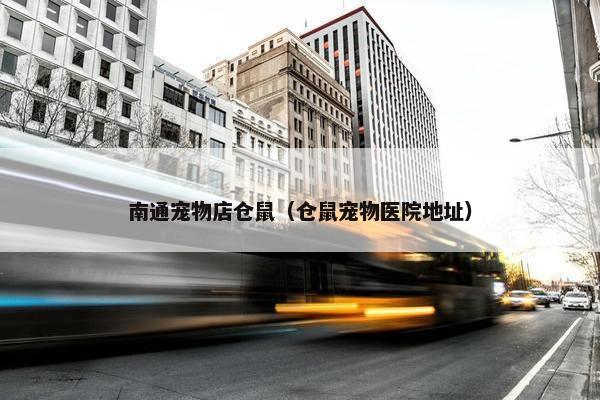 南通宠物店仓鼠（仓鼠宠物医院地址）