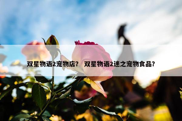 双星物语2宠物店？ 双星物语2迷之宠物食品？