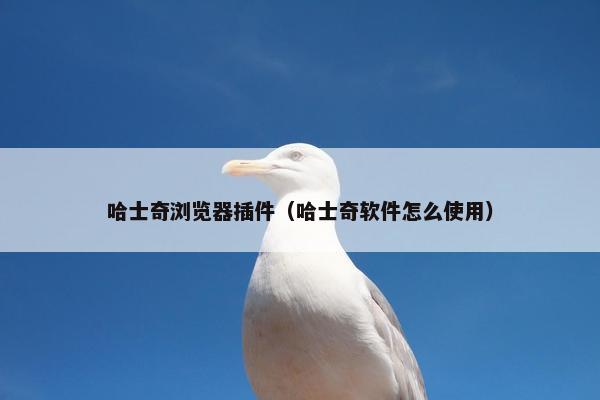 哈士奇浏览器插件（哈士奇软件怎么使用）