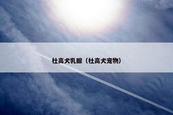 杜高犬乳腺（杜高犬宠物）